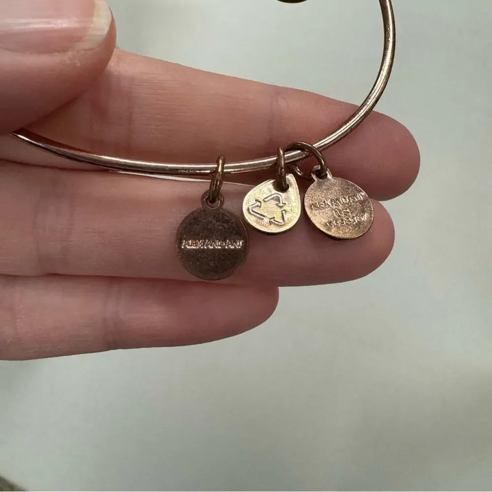 Alex & Ani Little Dipper Bronze Tone Bracelet Bangle